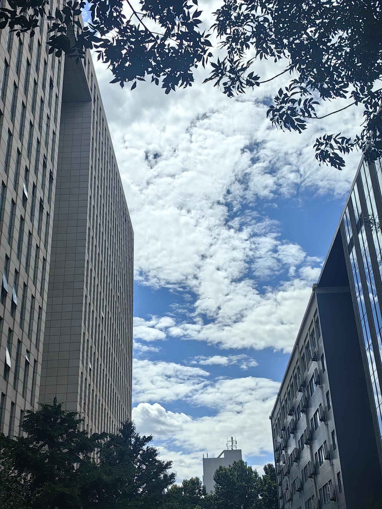云卷云舒北林间
分享手机里的随手拍