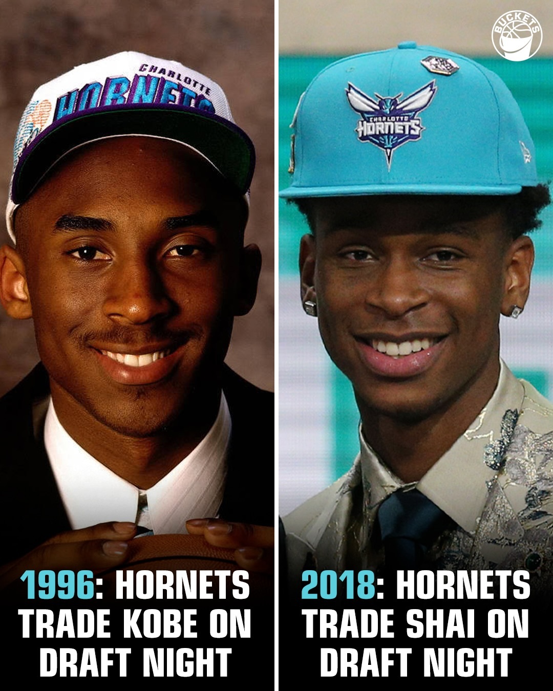 黄蜂有自己的魔法... 