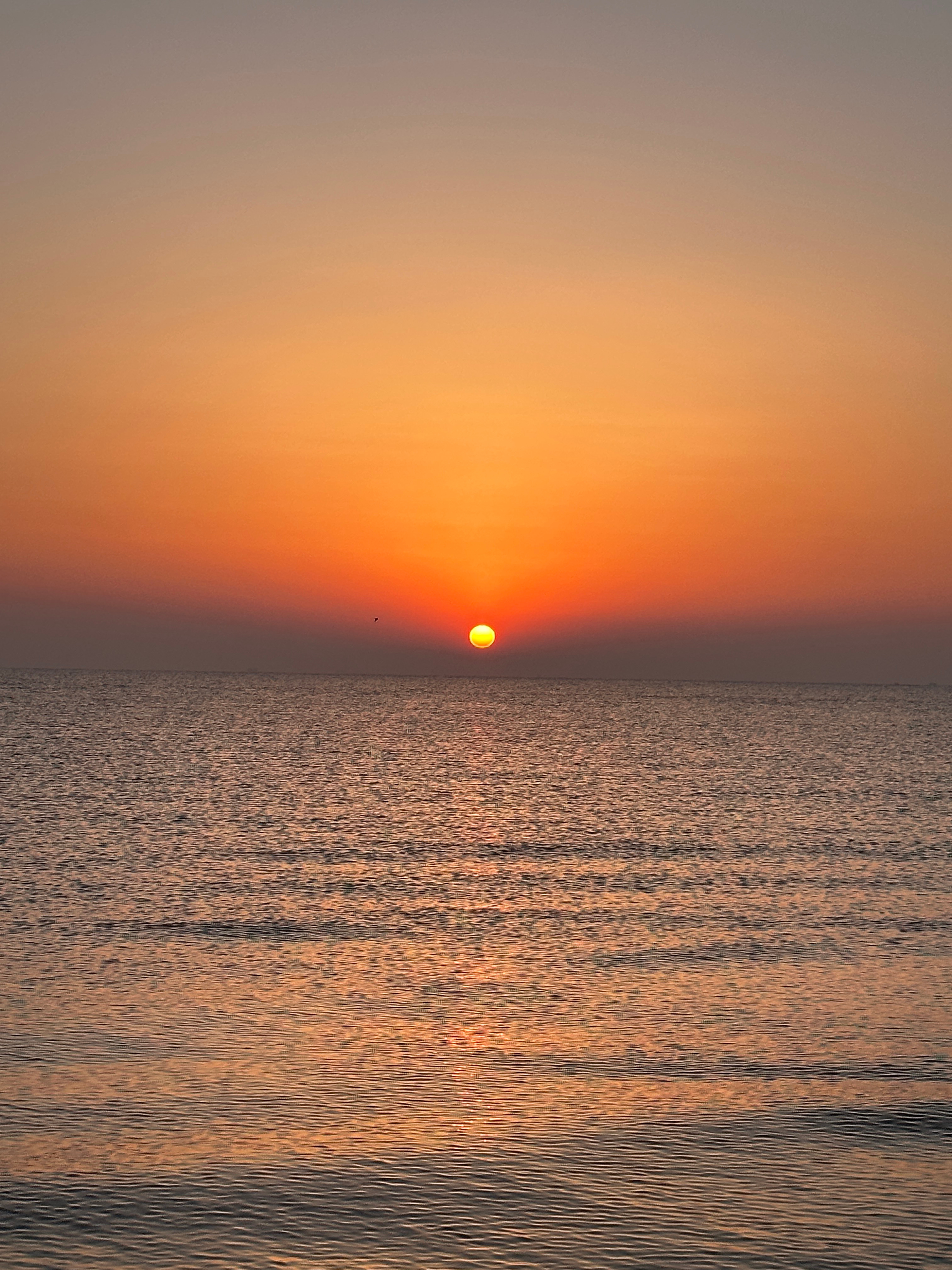 在阿那亚看了场日出🌄 ​​​