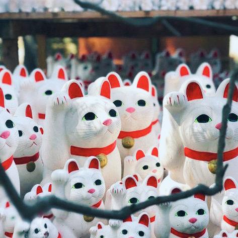 这组招财猫让你最近收获一笔意外之财！ 