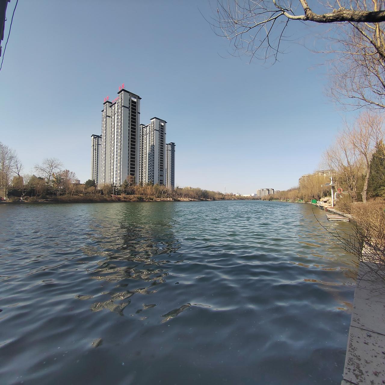 沉舟侧畔千帆过，再回头已百年身