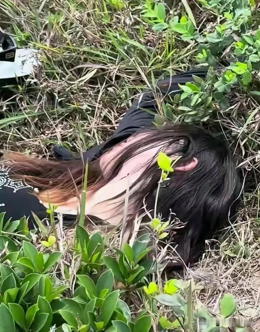 假如，你出去散步，发现路边草丛中疑似有人被杀。你是选择报警呢，还是假装没看见，快