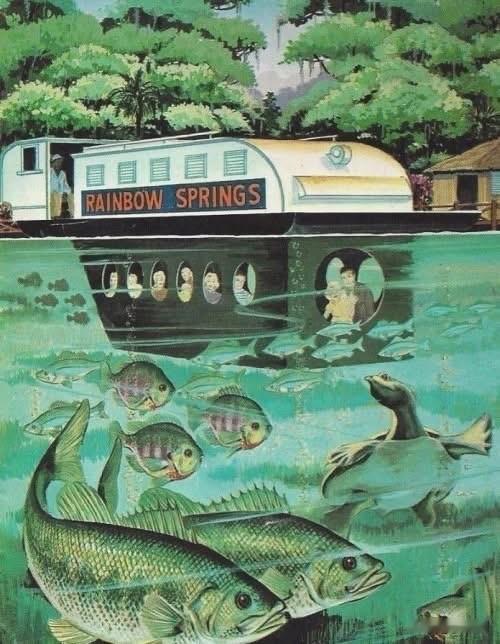 这是美国佛罗里达州彩虹泉（Rainbow Springs）在上世纪50年代左右的