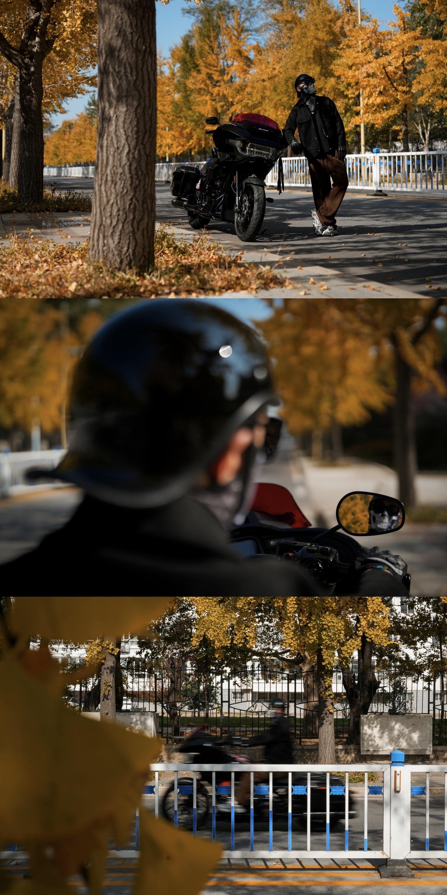 我眼中的秋天：🍂秋意浓，银杏黄。不怕路长，就怕心老！ 📸二八一公交...