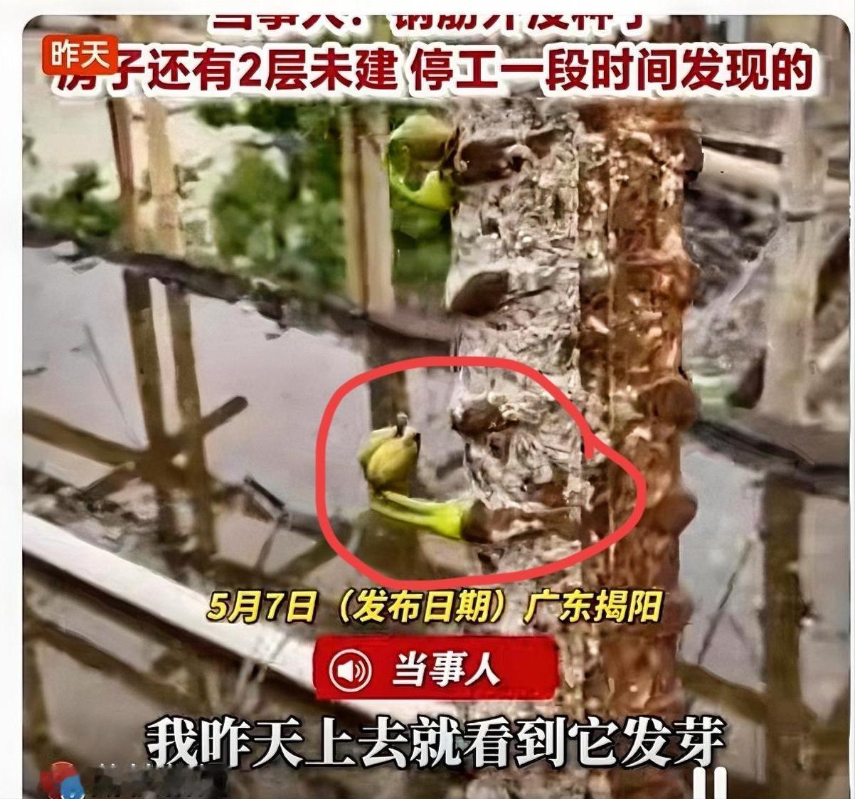 “解释不清了！”广东揭阳陈先生的6层自建房停工半年，他爬上楼顶，只见裸露钢筋锈迹