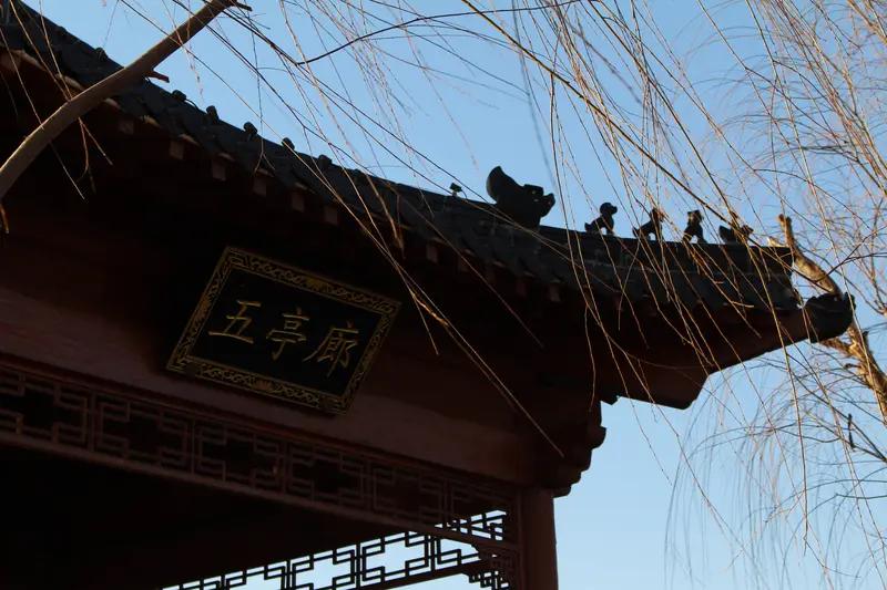 七绝和五绝这两种诗歌体裁的起源时间历经演变。五绝起源较早，南朝时期便已初现端倪。