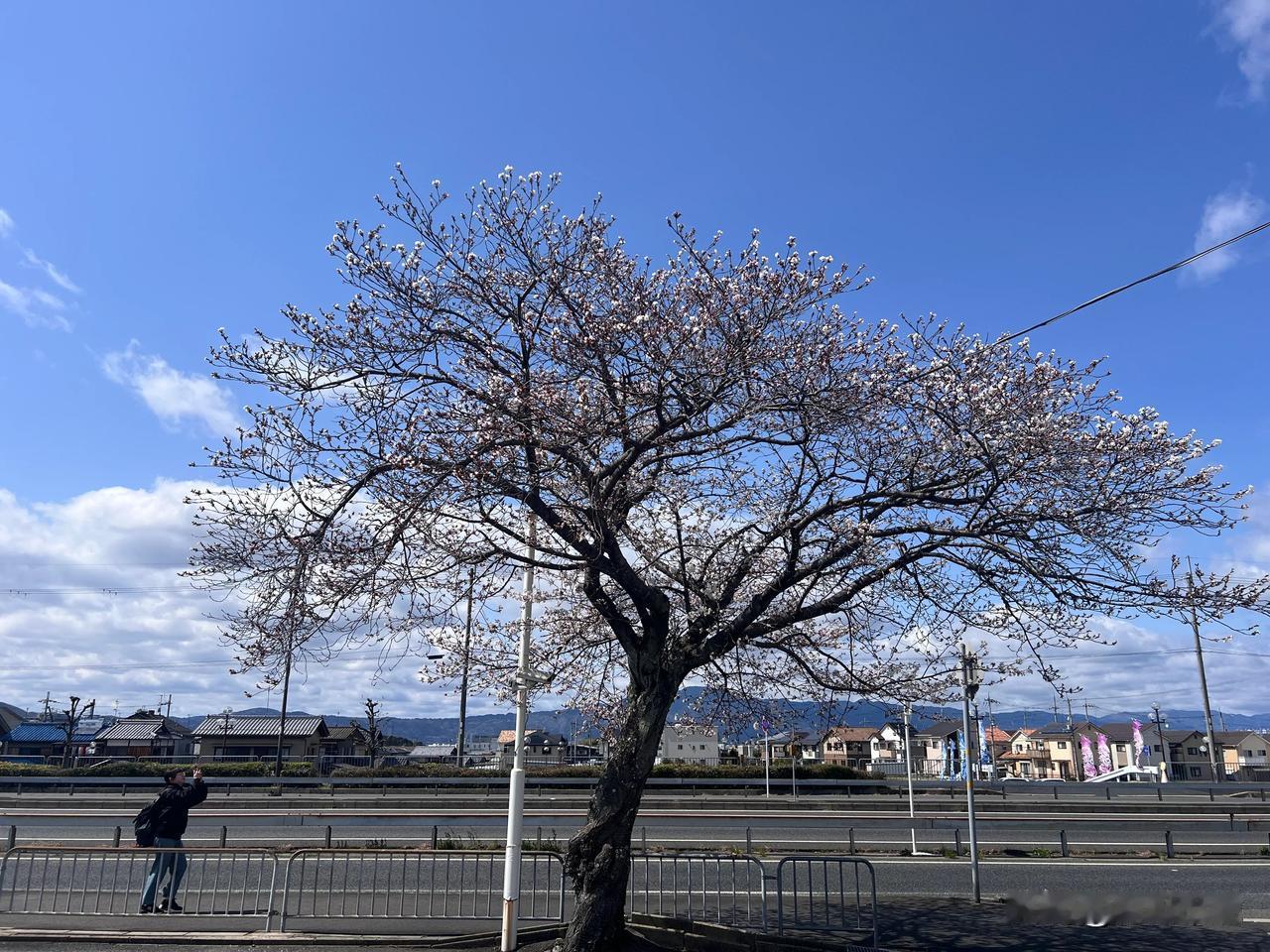 一般不回
除非公司安排的福利出境游
一是因为一般英语可以对付
二是不希望被导游忽