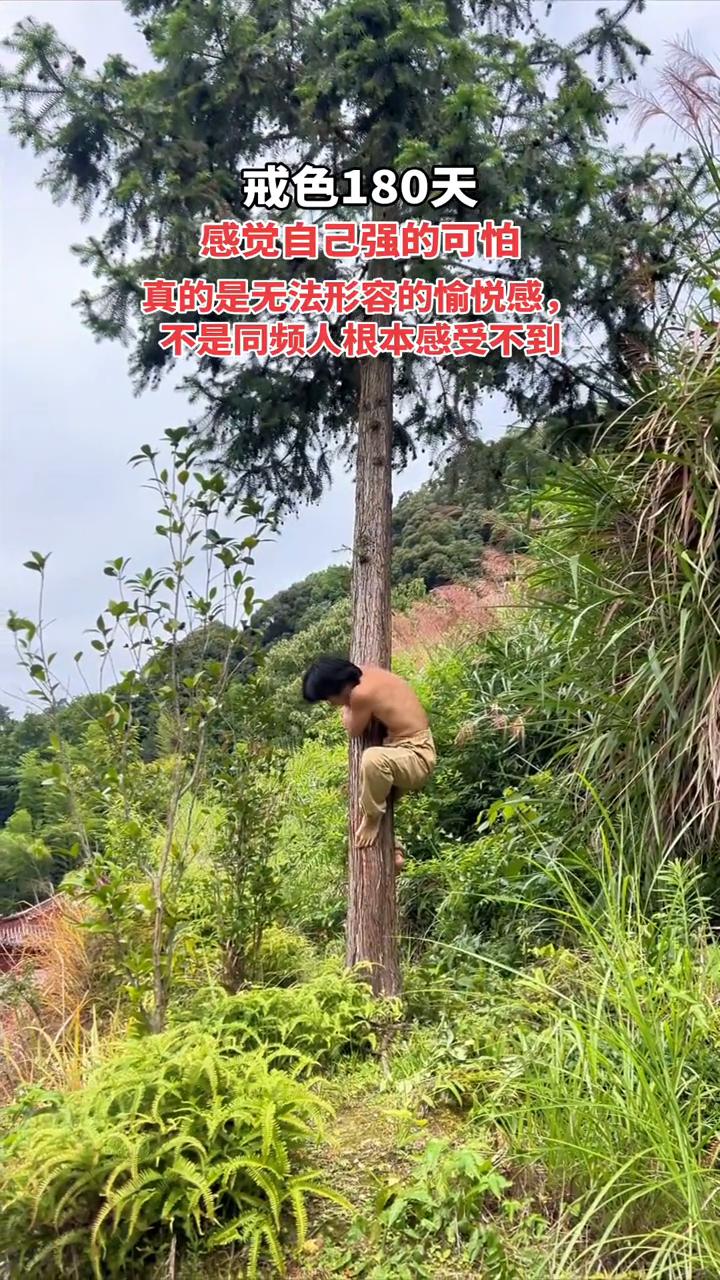 戒色180天，感觉自己强的可怕。
真的是无法形容的愉悦感，不是同频人根本感受不到