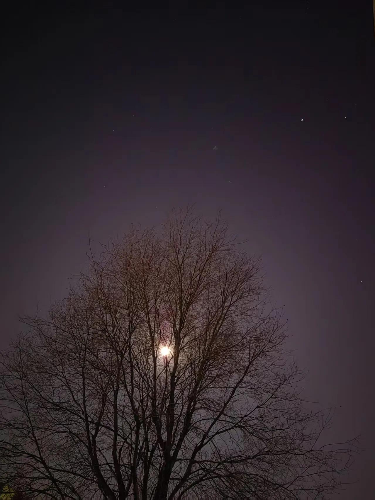 一个人要从身心全面整合，才可以得到一个完整的教育。教育倒不是通过知识的累积、分别