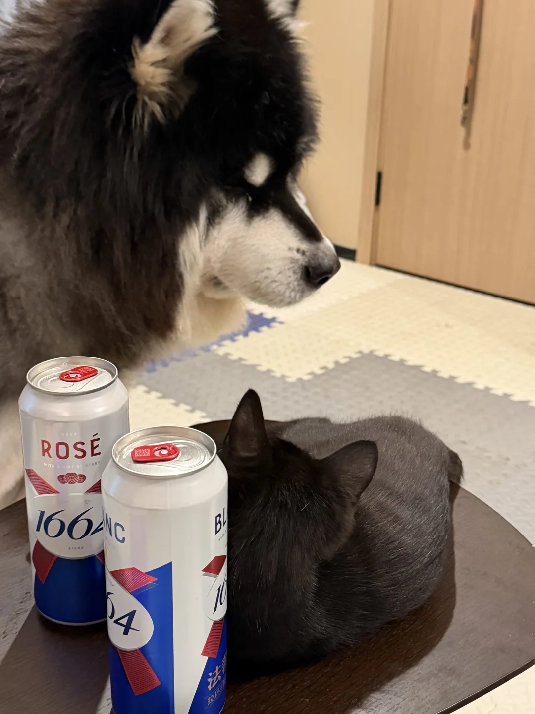 有点嫌弃呢