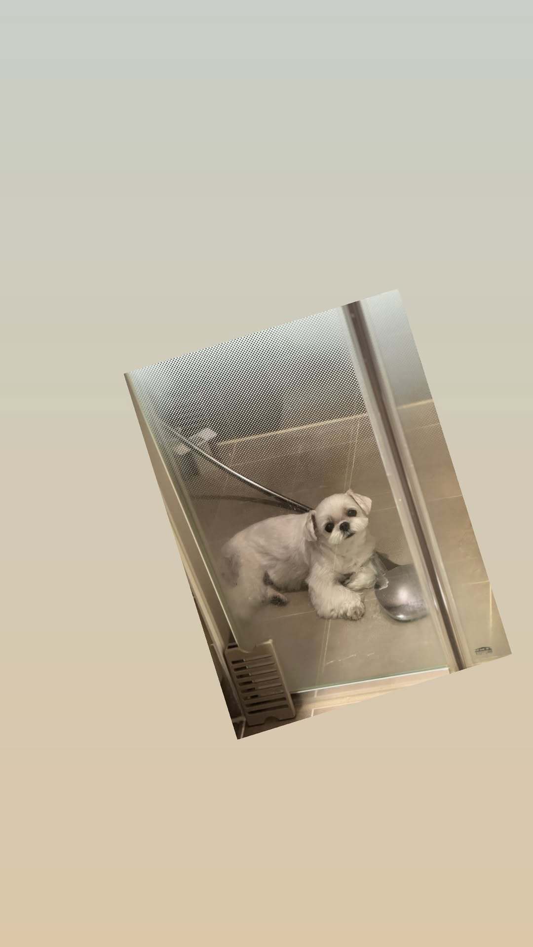 “CB百蓝_。251123 ins story更新： 