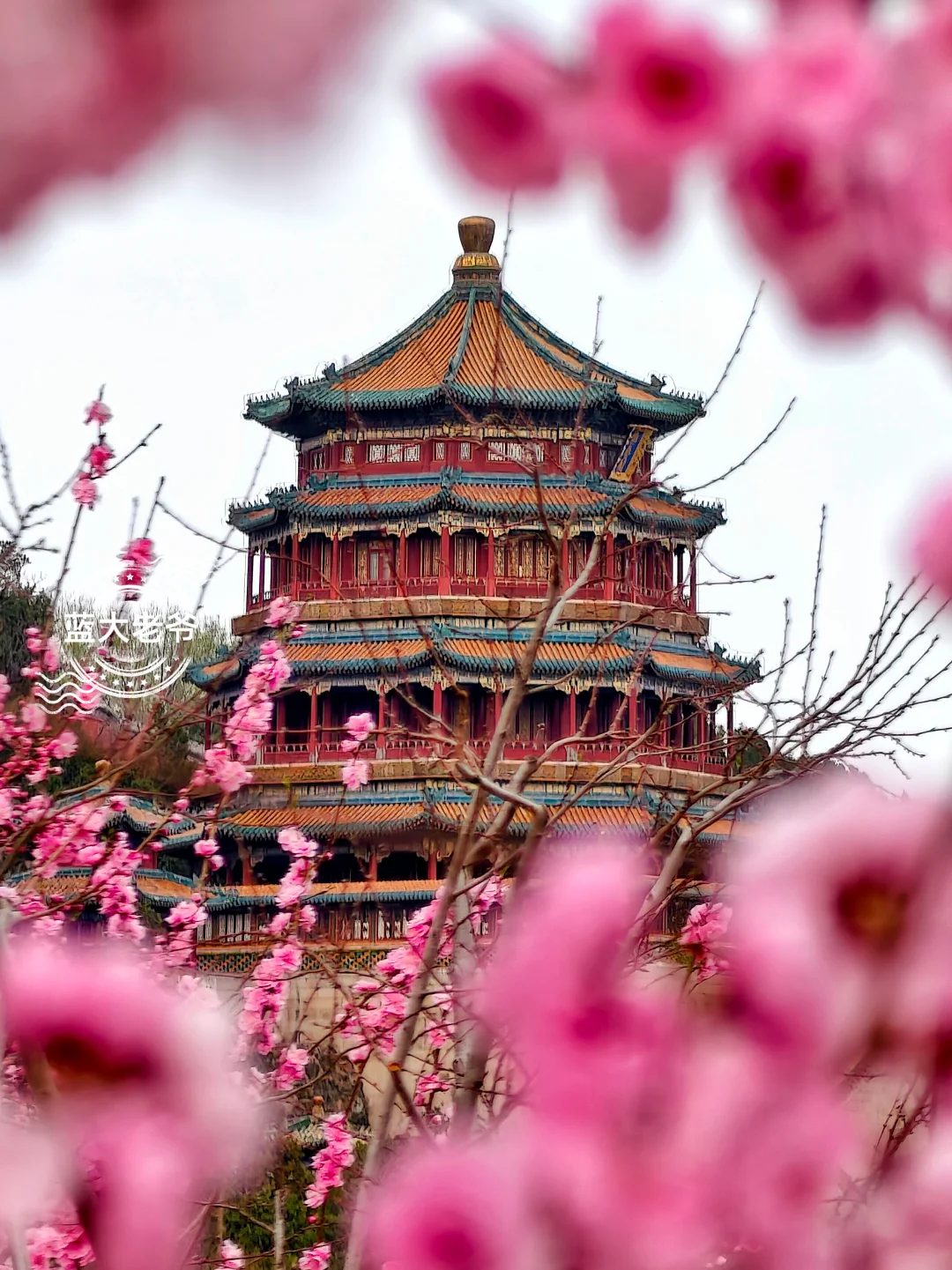 在颐和新季春天里 走进秘境云松巢