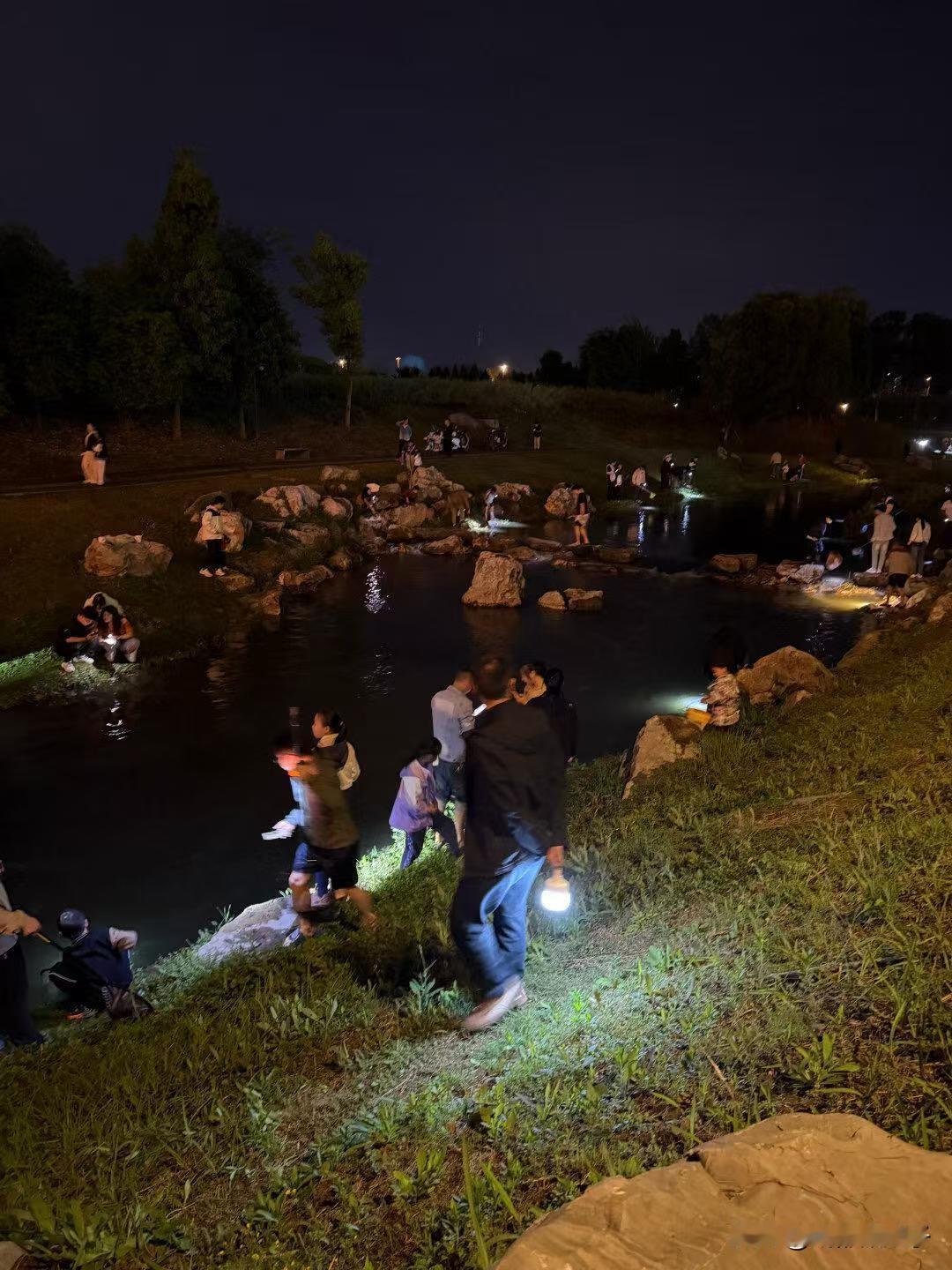 青龙湖好多抓虾的[捂脸]溪畔抓鱼 青龙湖花海 湖畔抓鱼 秋天的青龙湖 青龙湖晨雾