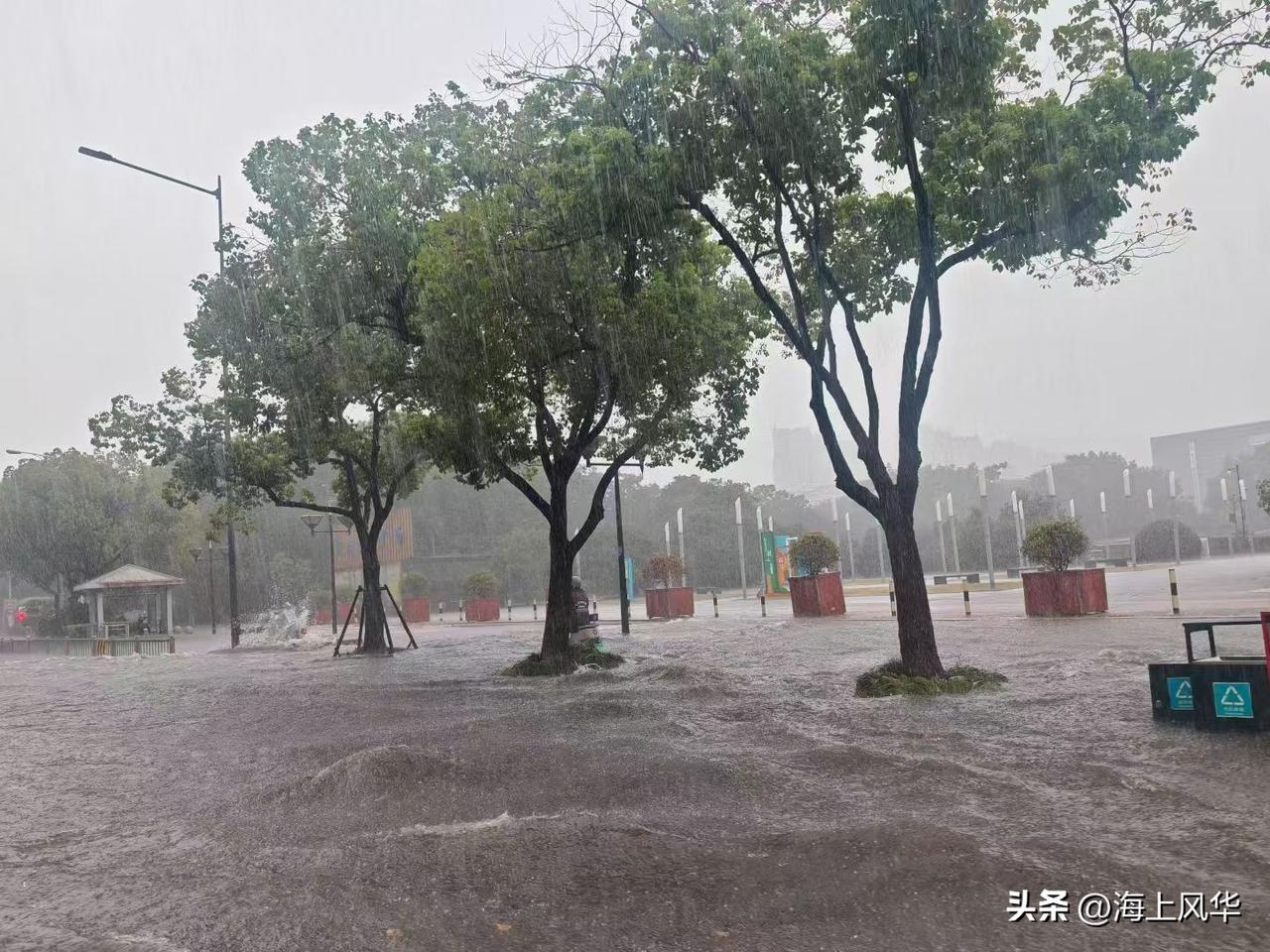 通知一下，
大家好有个心理准备。
今天8月10号，就正式进入中伏第十七天了，而且