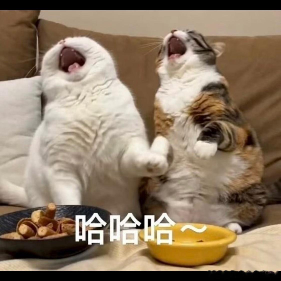还好在你们刷片的时候，我去刷痘印了，躲过一劫