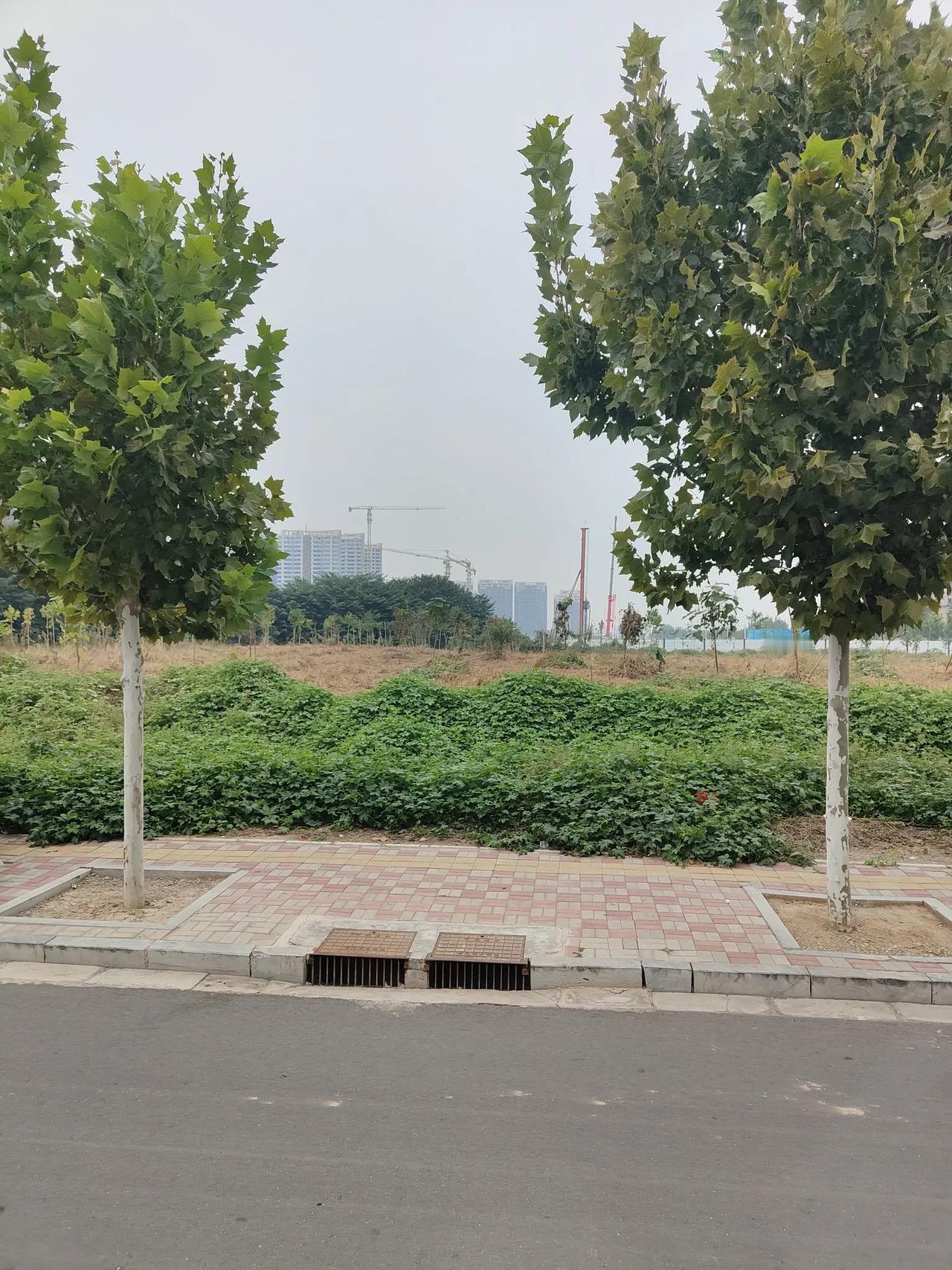 上午回石家庄的时候，看到一辆小货车不知道是爆胎了，还是轮子掉了。在马路边停着，没