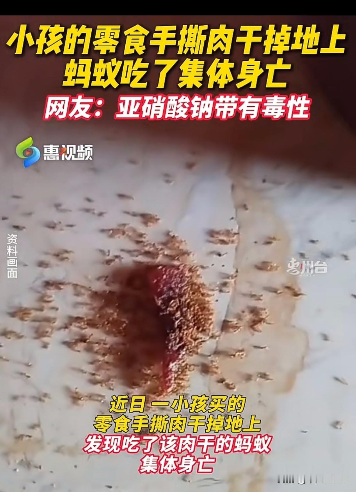 还敢给孩子吃吗？？小孩的零食手撕肉干掉地上，蚂蚁吃了集体身亡！网友：亚硝酸钠带有