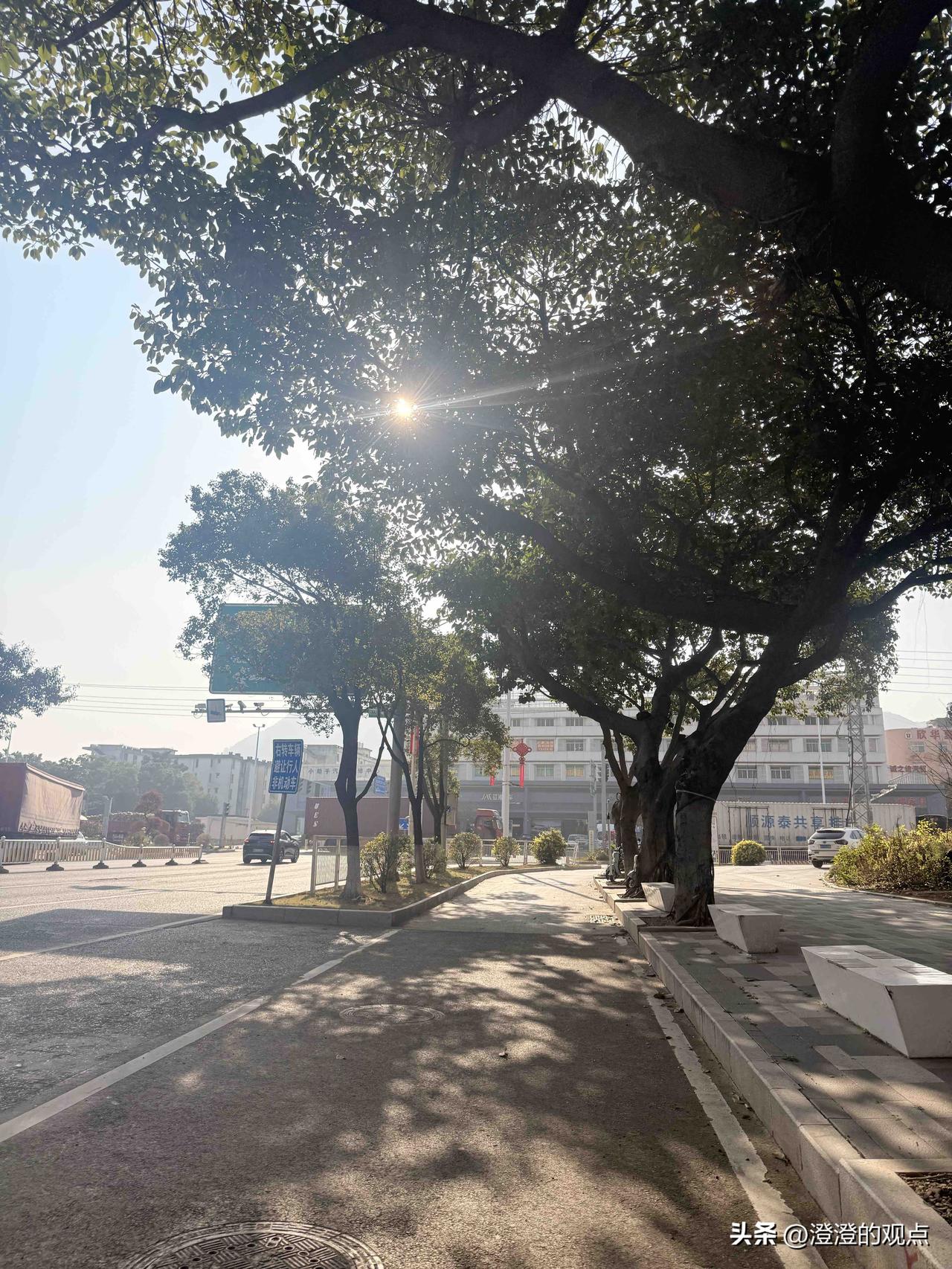 午后的阳光穿过层层叠叠的树叶，在人行道上洒下斑驳的光影，暖融融的风裹着草木的气息