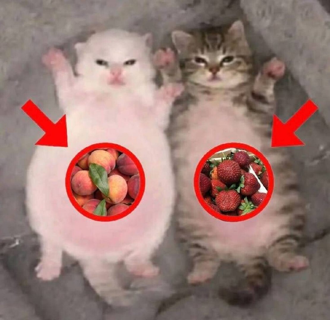 🙂 ​​​
