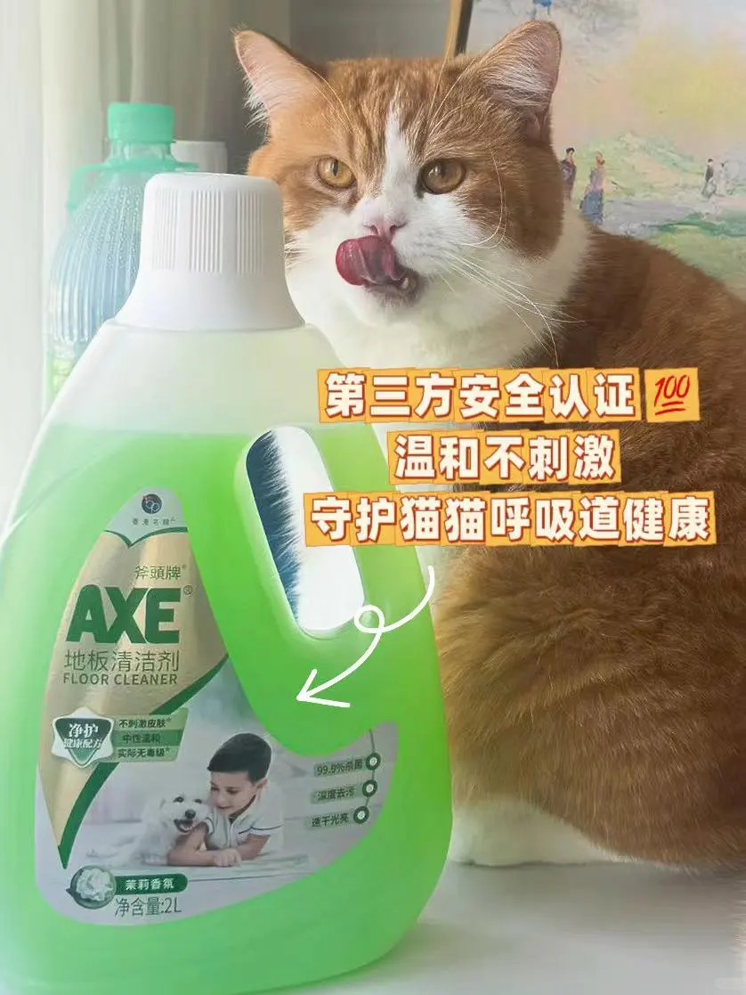 今天小猫的肉垫是茉莉花味的~💚