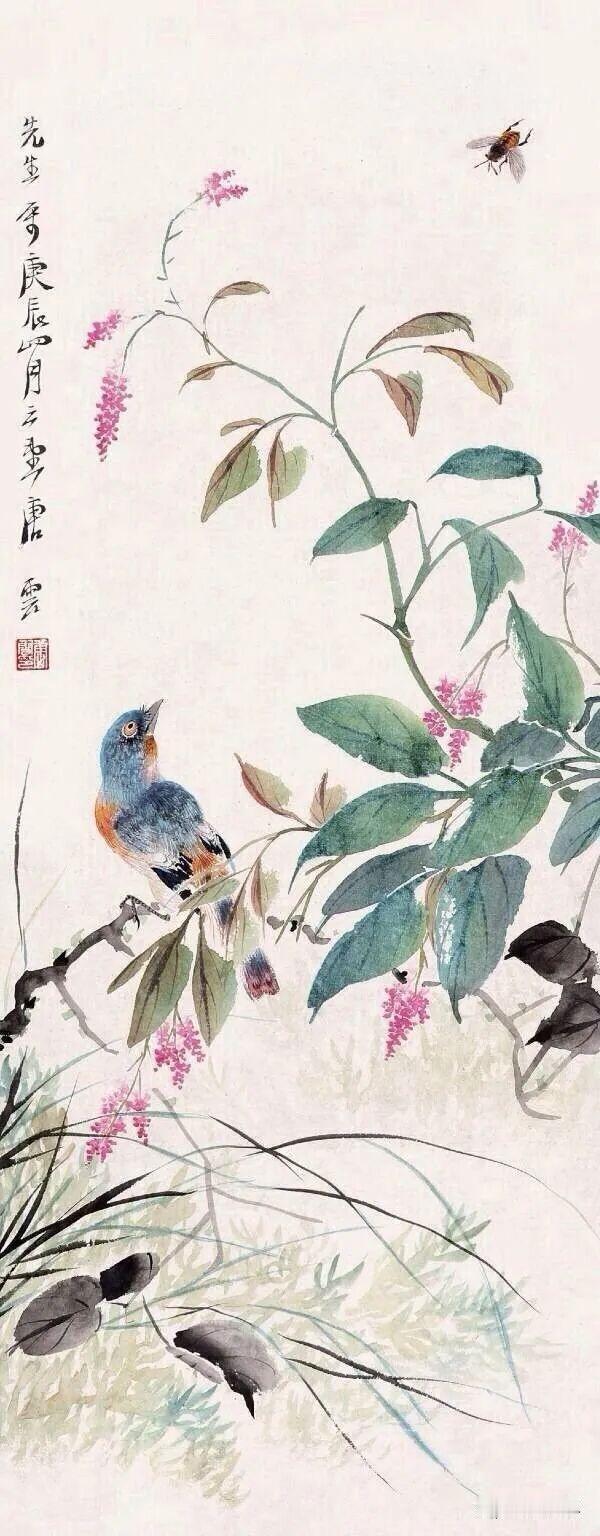 手机里花卉照片