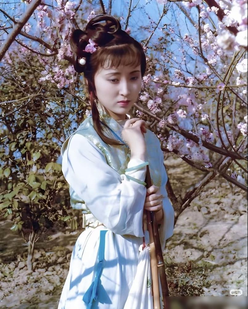 7.2亿砸新版红楼，甄嬛传编剧独挑大梁，网友直接炸锅喊停：别搞宫斗！
2010