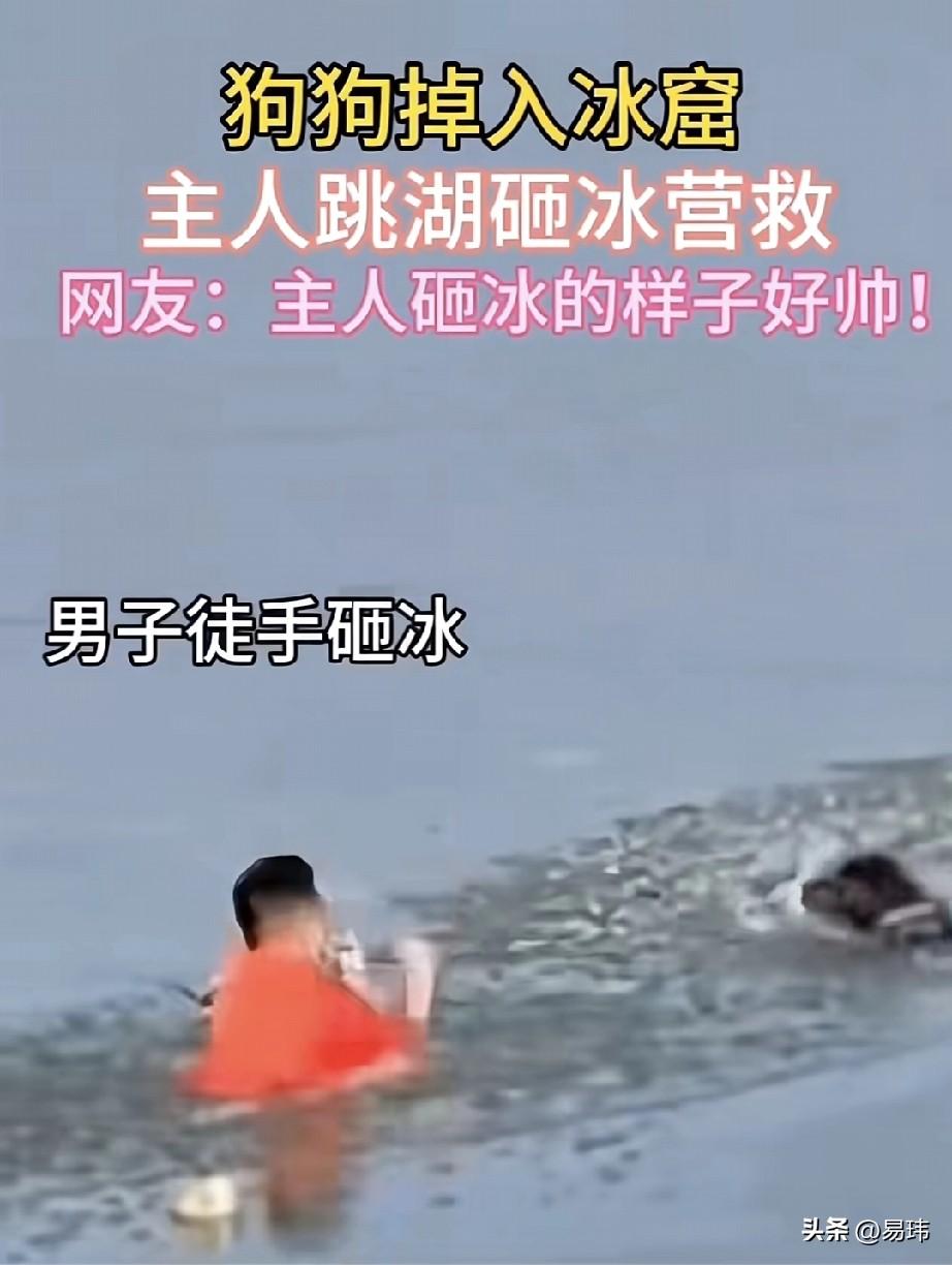 泪目了！一位小哥哥养了一只狗狗，平时就特别宠爱它，这天他带着狗狗去公园的冰湖玩，
