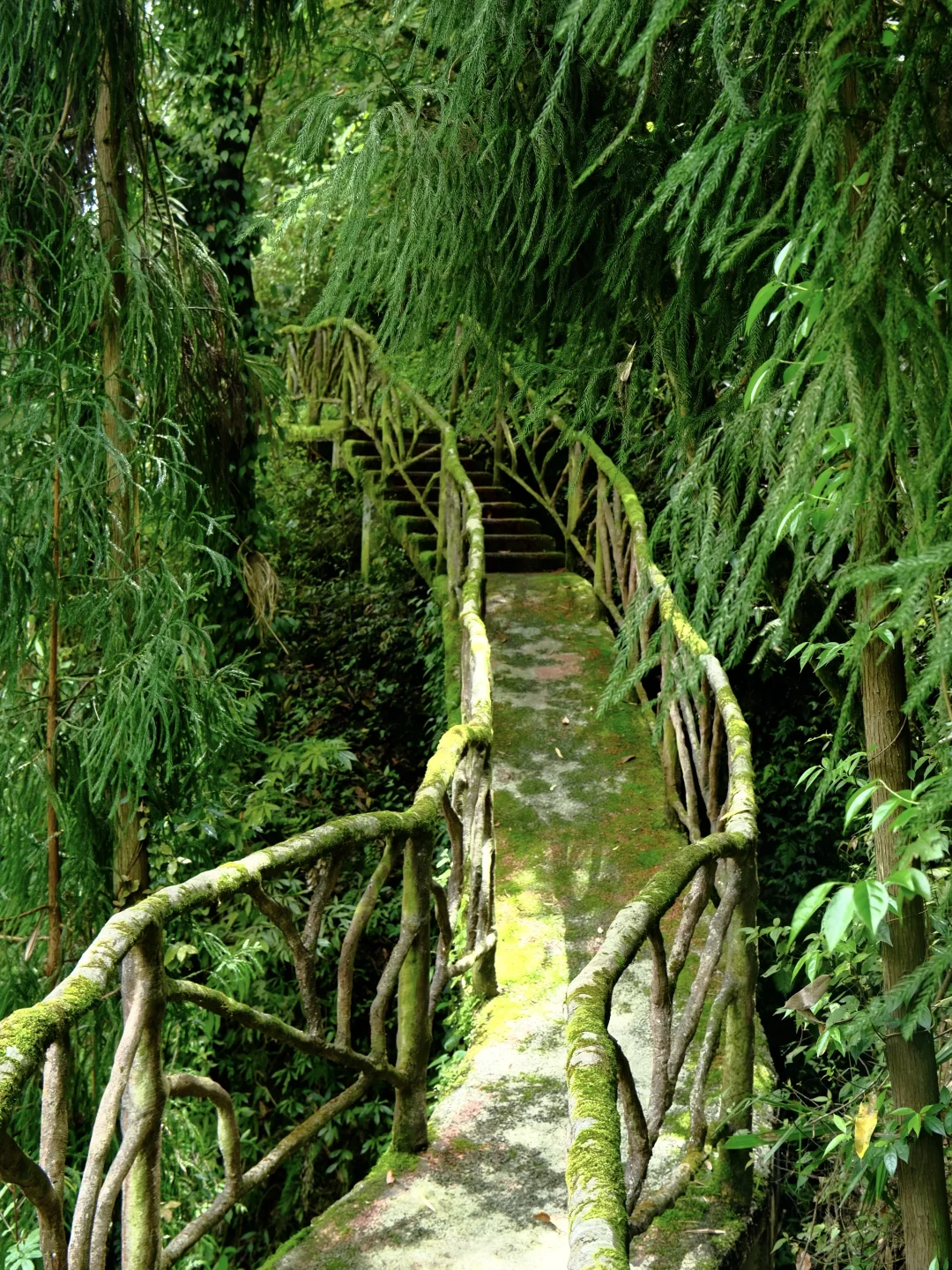 🍃成都1h | 免费🆓冷门的峡谷徒步秘境！