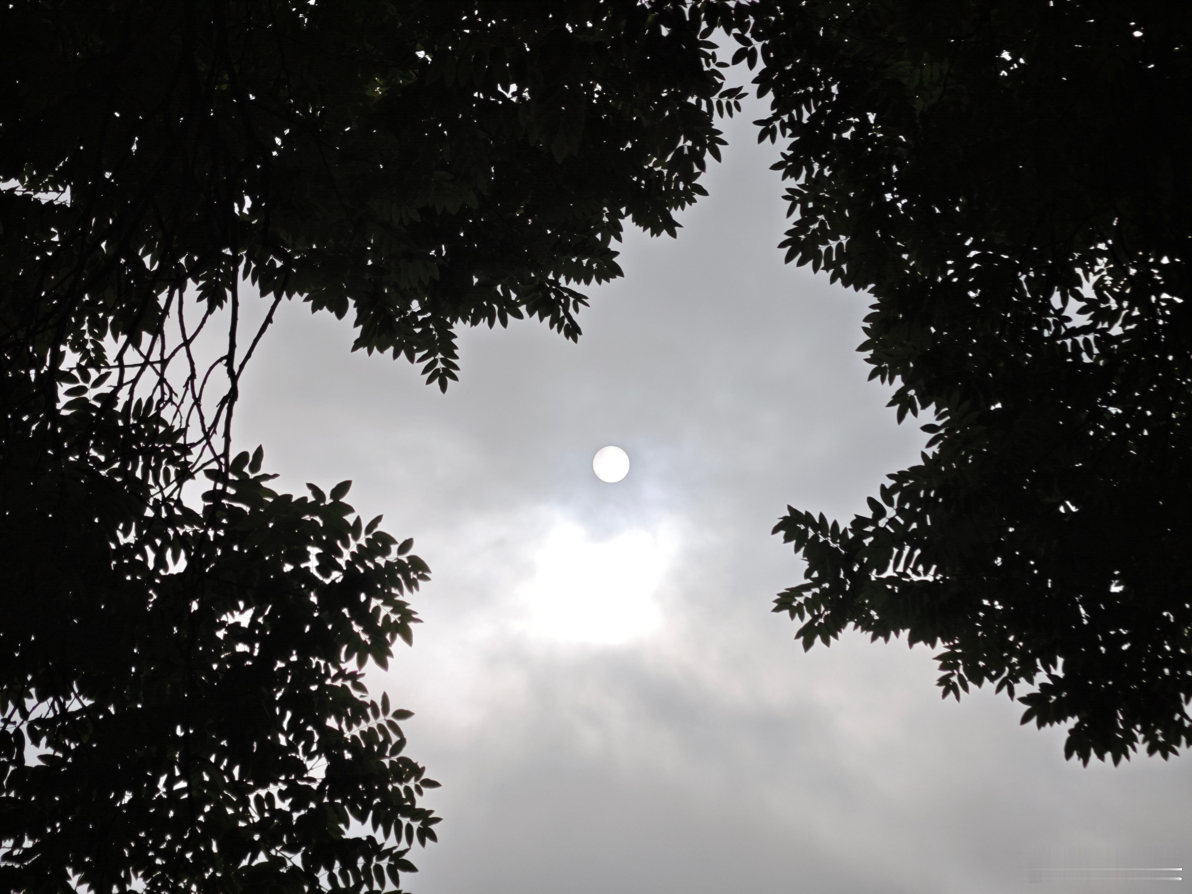 今日倒头条