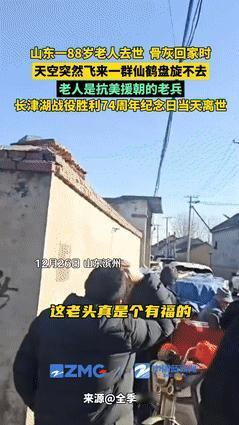 真是巧合吗？山东一88岁大爷火化后骨灰回家路上，天上突然出现一群仙鹤盘旋不散！家