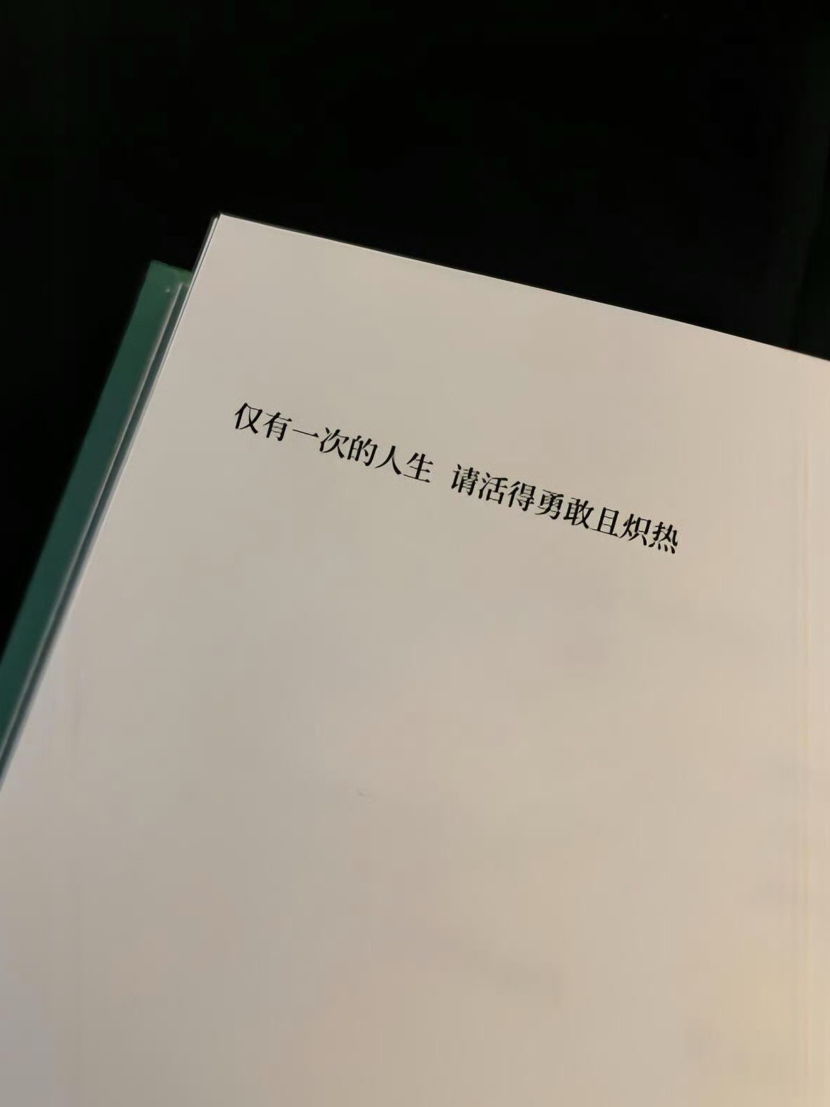 “仅有一次的人生，请活得勇敢且炽热”
