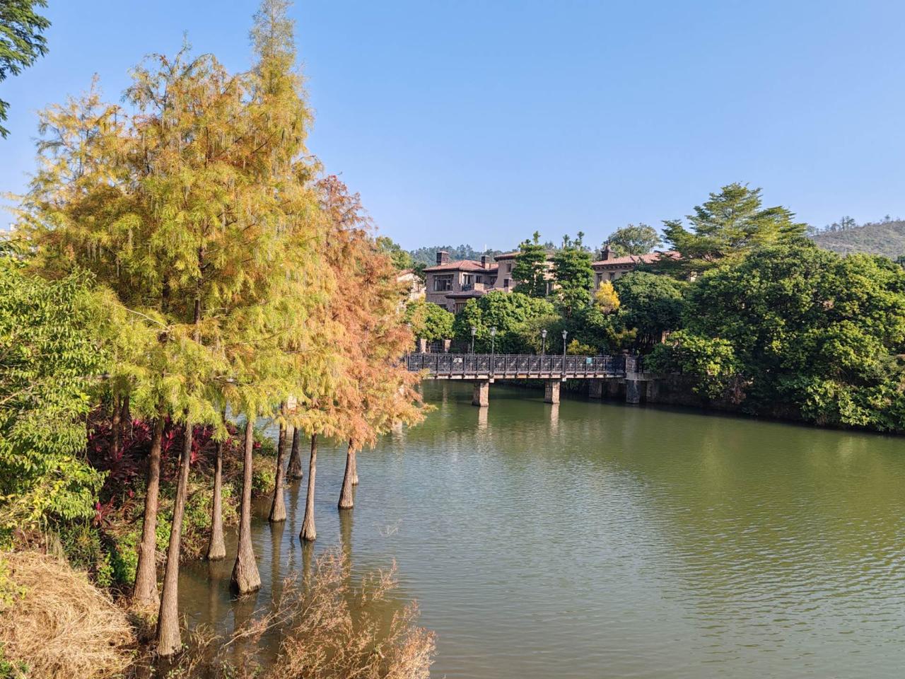 返京前，再感受一下南方沿海天气的美好。“高技术“的诈骗犯罪往往背后是一个团伙，最