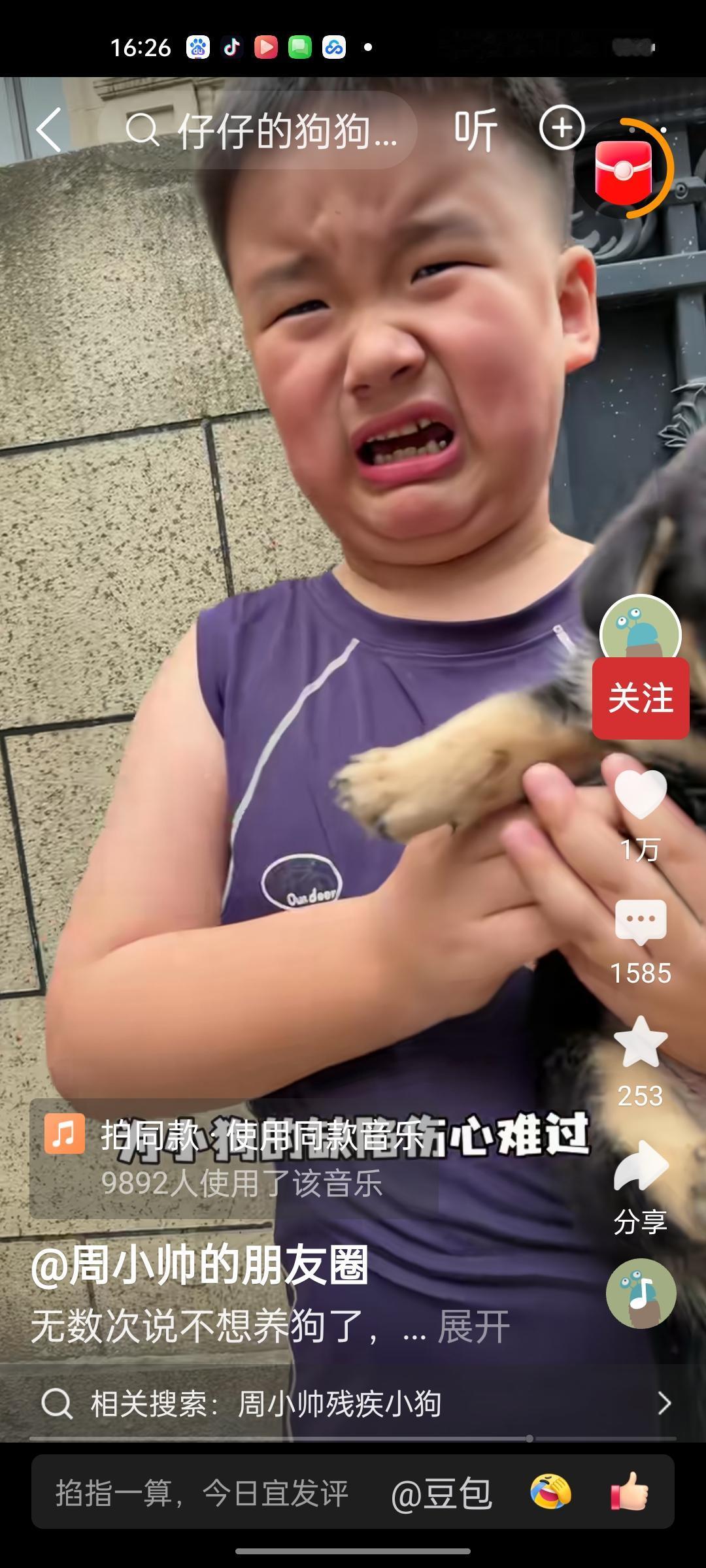 善良刻在了骨子里，小男孩看见一只残疾的小狗，哭的撕心裂肺，由于家里小狗太多，可能
