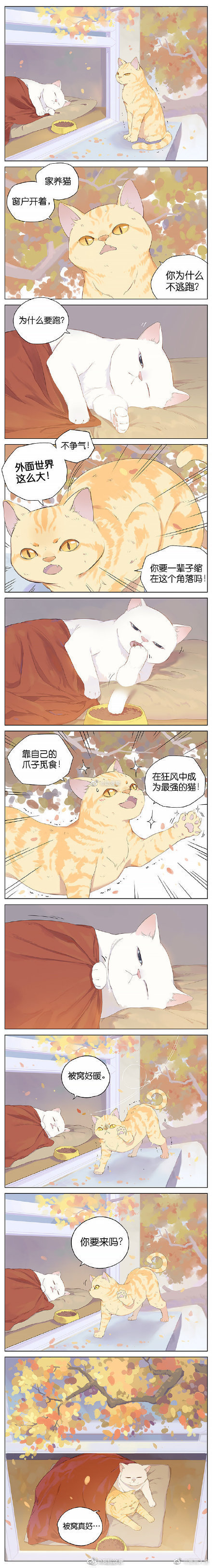 猫咪真香定律~作者：阿闷aman#漫画# ​​​