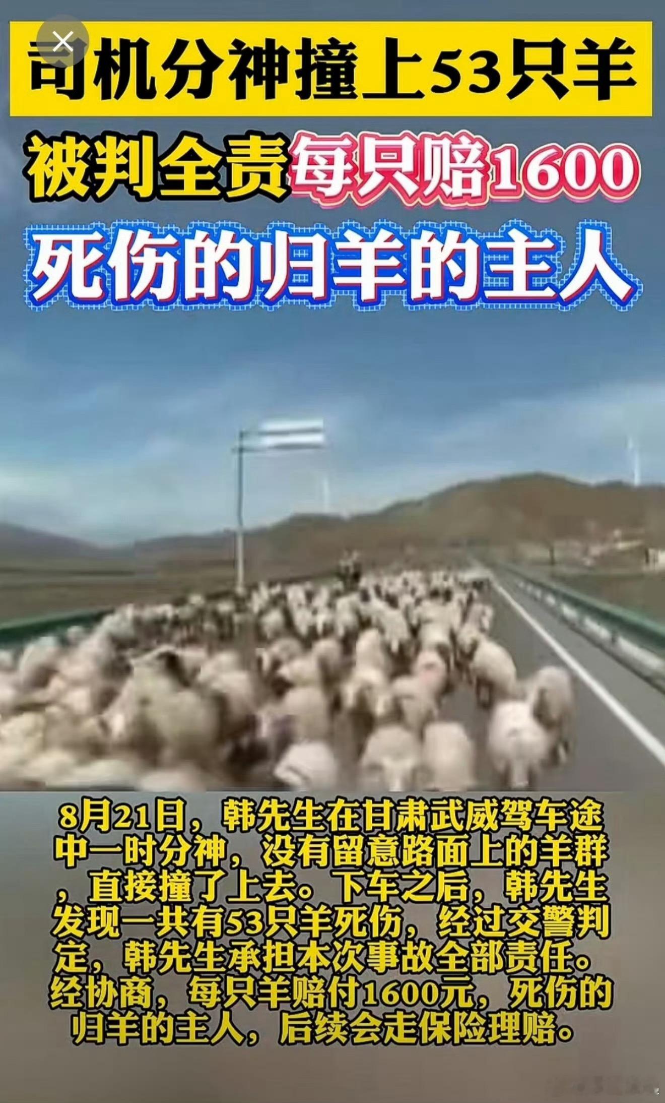 撞羊赔偿 羊不能带走这个还真有问题，1600元一只是按市场价赔的，如果不让带走应