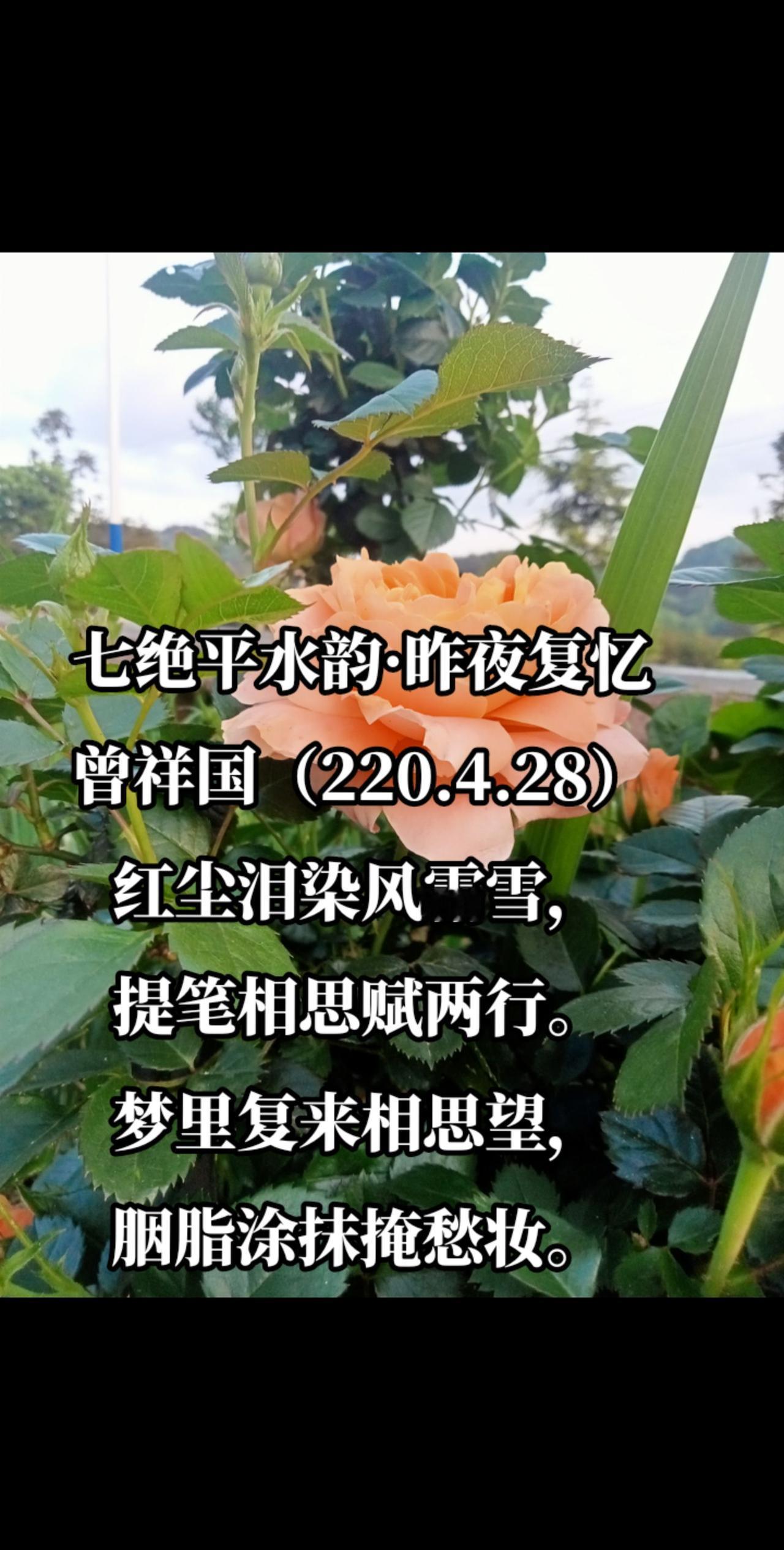 七绝平水韵·昨夜复忆