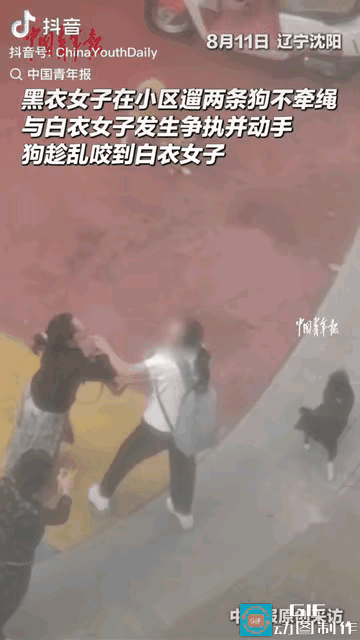 黑衣女子遛狗没有栓绳，现场的这条黄狗和黑狗是不是都是她的，目前还不太清楚，不过她