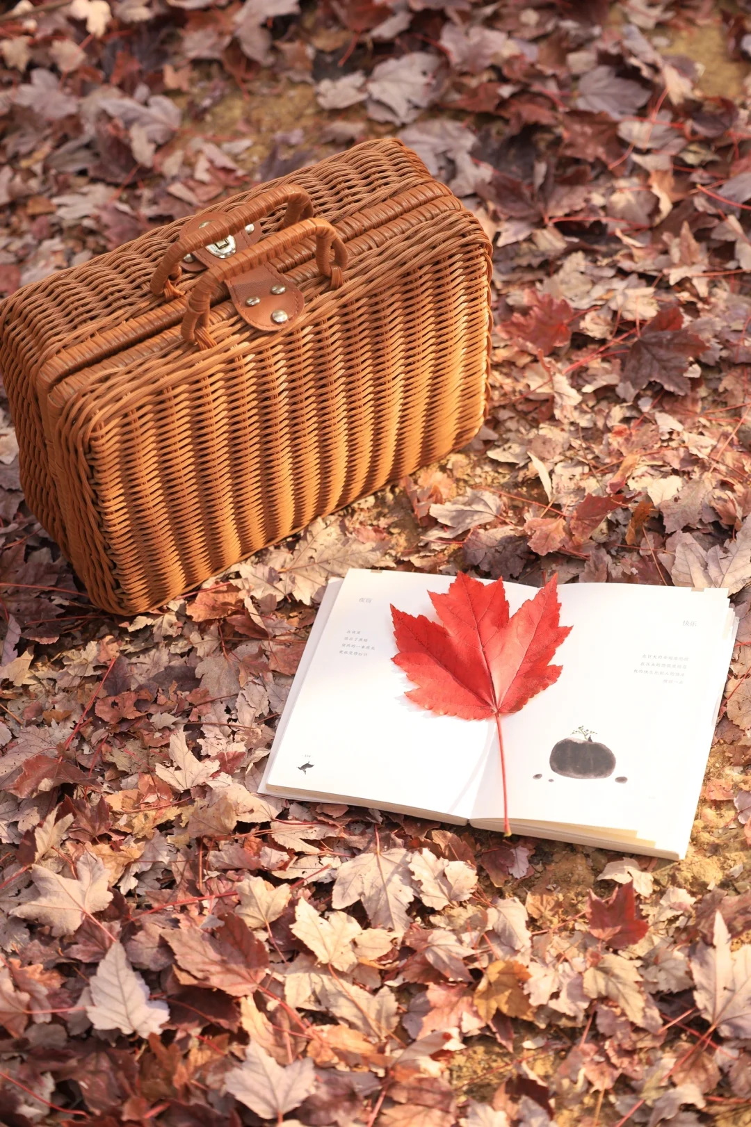 武汉绝美枫林杀疯了❗️美的不顾人死活