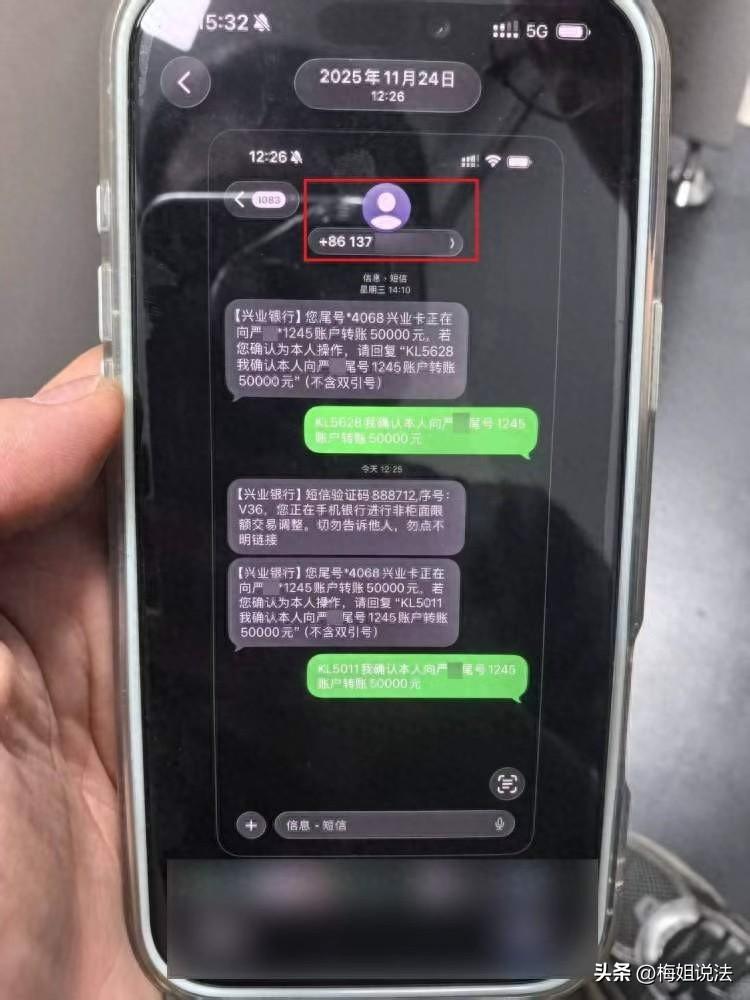 眼见不一定为实！上海，林某超前消费入不敷出，编造理由向严女士借了10万多元，半年