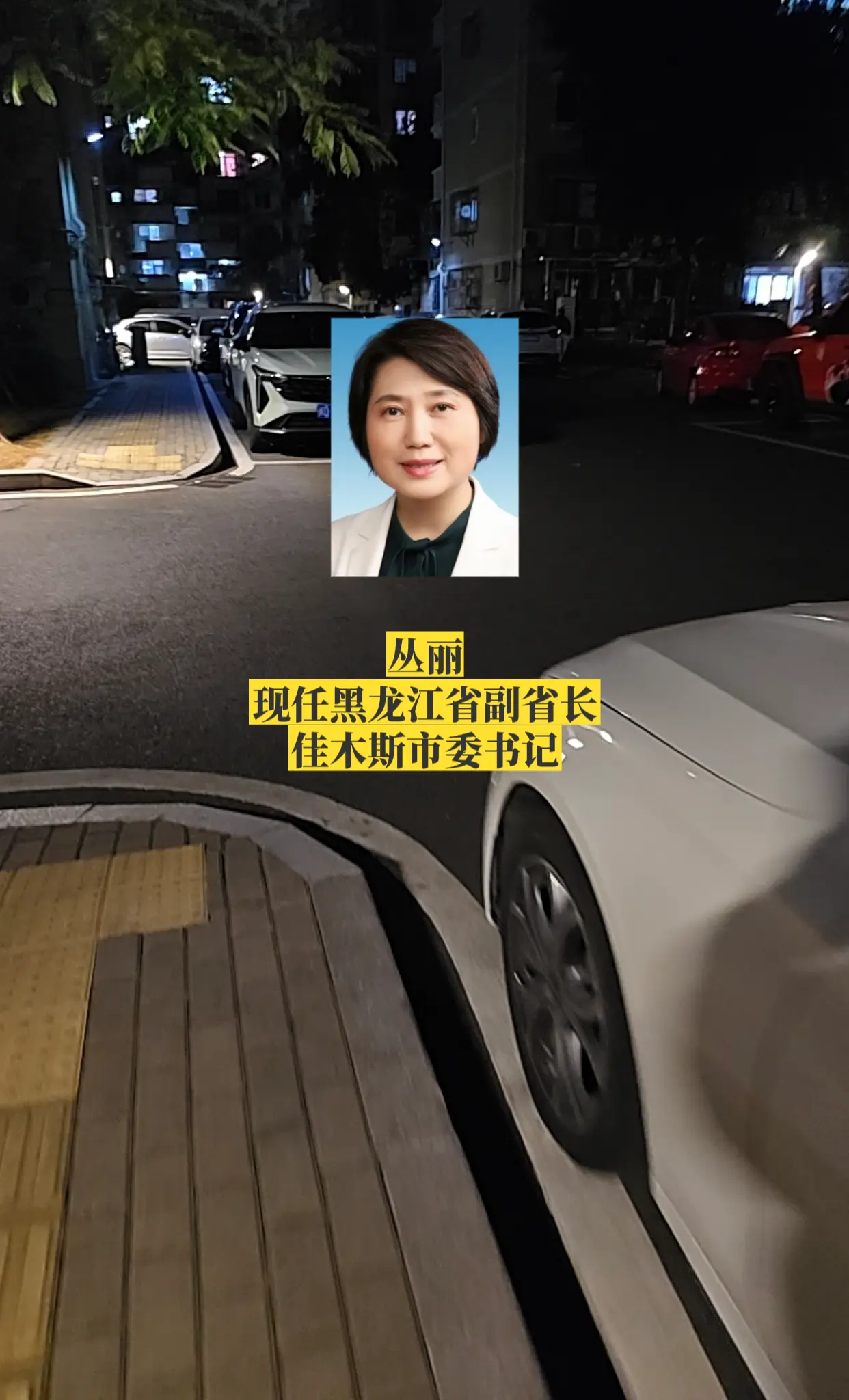 黑龙江佳木斯市委领导。