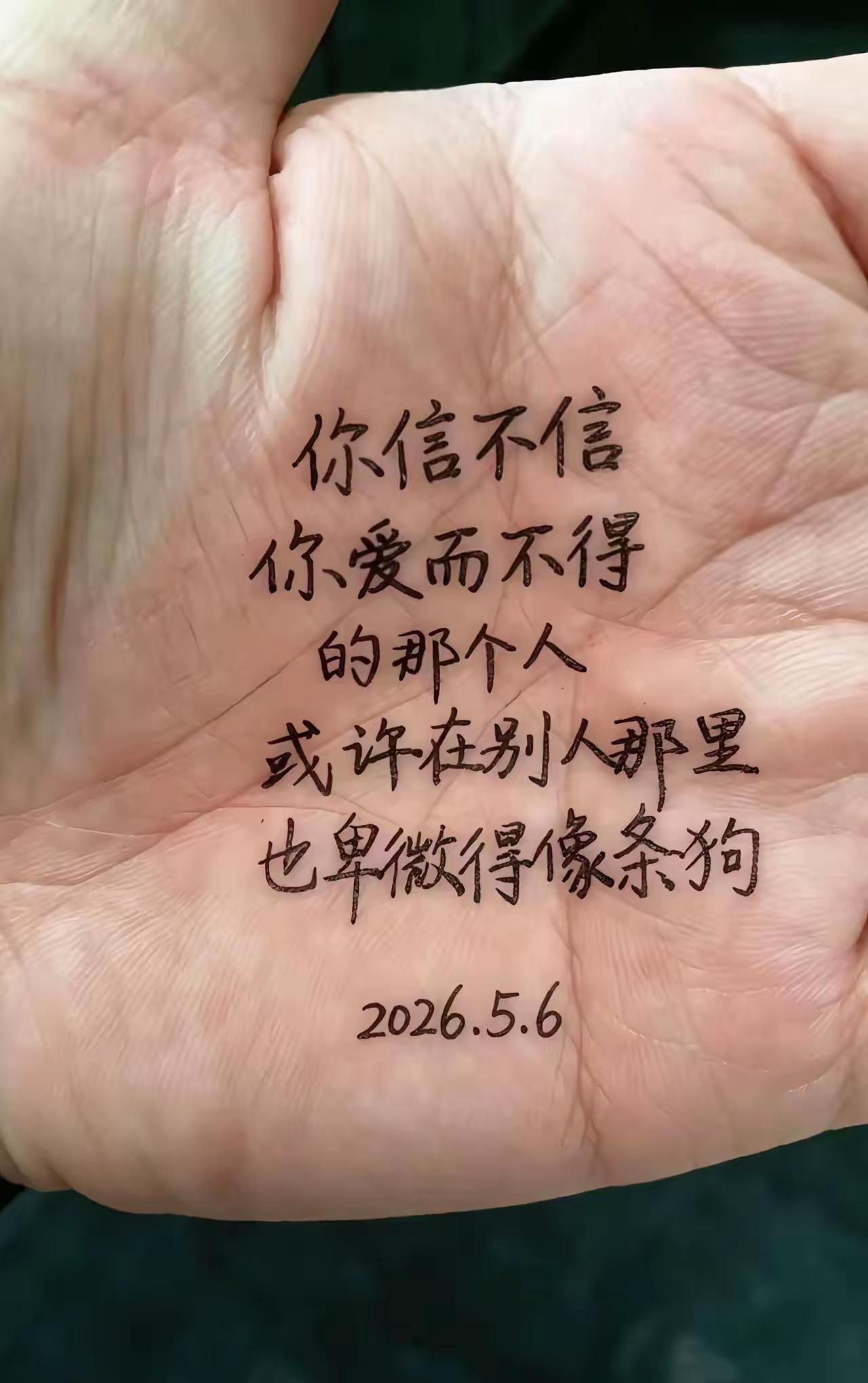 你信不信你爱而不得的那个人
或许在别人那里也卑微得像条狗