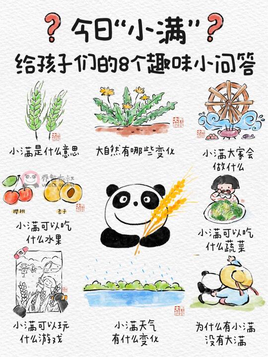 今日小满，带孩子了解小满的8个趣味问答