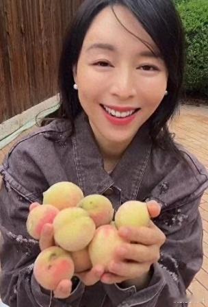 现如今越来越多的娱乐圈明星都加入了种菜行列，张馨予的小院那是尤为丰富，每年都会晒