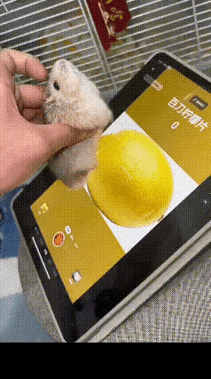 这速度，比电击器还快啊