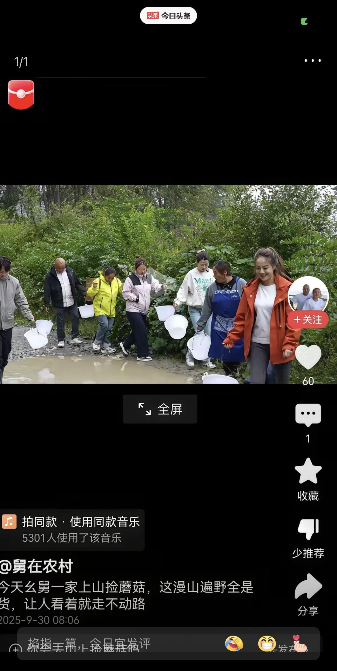 今天翠花和小妹幺舅他们上山采菌子去了，翠花如果没离婚，怕是今天进不了这个队伍。周