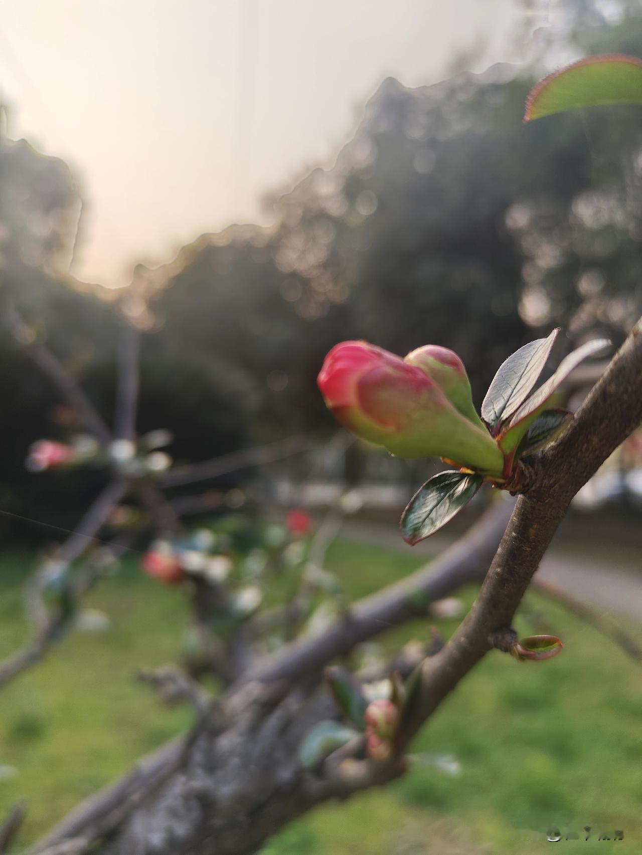 如何用方言表达“吝啬”呢?
在四川方言中表达“吝啬”?在四川方言中，“吝啬”有多