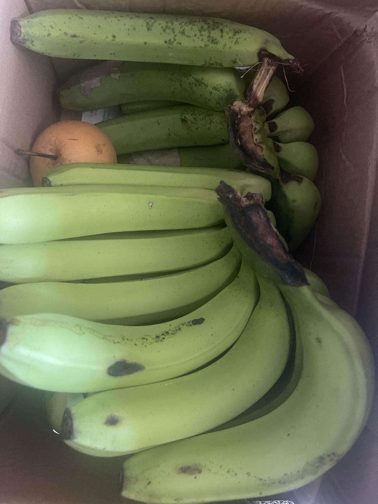 秋日果蔬分选指南：鲜采与存储的实用法则

秋日果蔬丰饶，但品种繁多、成熟度不一，