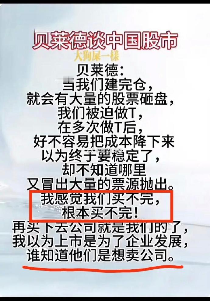 董事长套现9亿后反劝投资者耐心一点 hhhhhhhhhhhhh石头科技和极石汽车