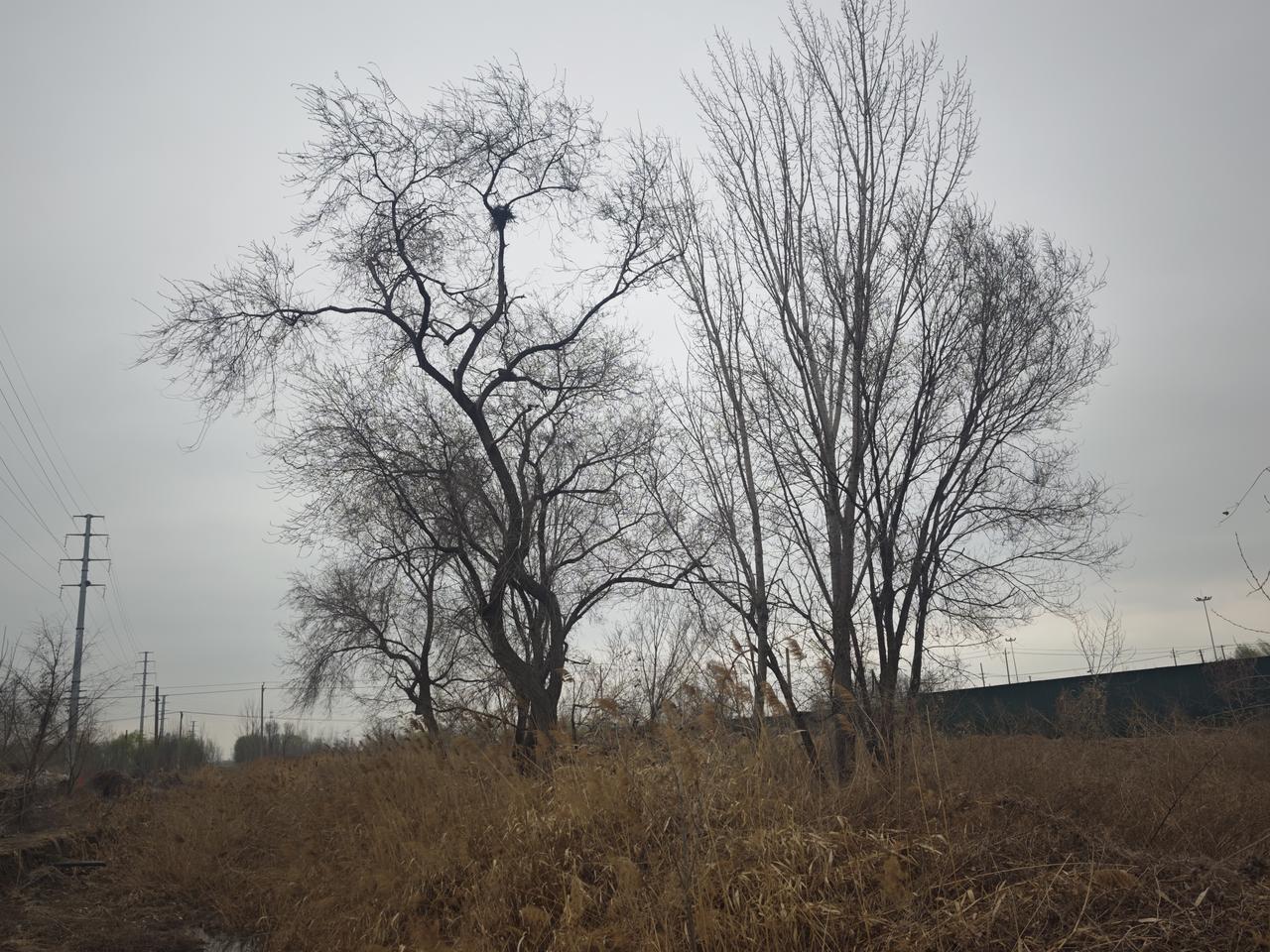 下联：冬雪添画情，邀上联春雨增诗意