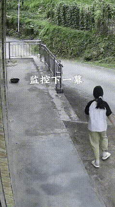 咬人的狗，还有必要留着吗？